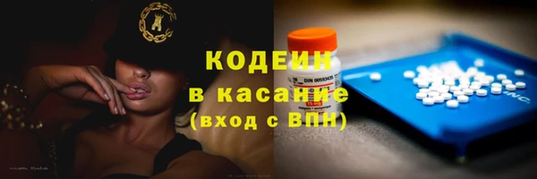 крисы Вязьма